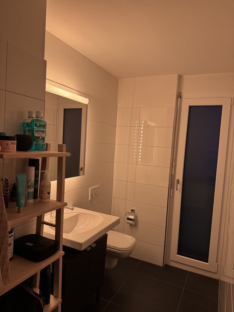 WG-Zimmer (inkl. eigenem Bad) in Attikawohnung an Top-Lage in Dübendorf (9)