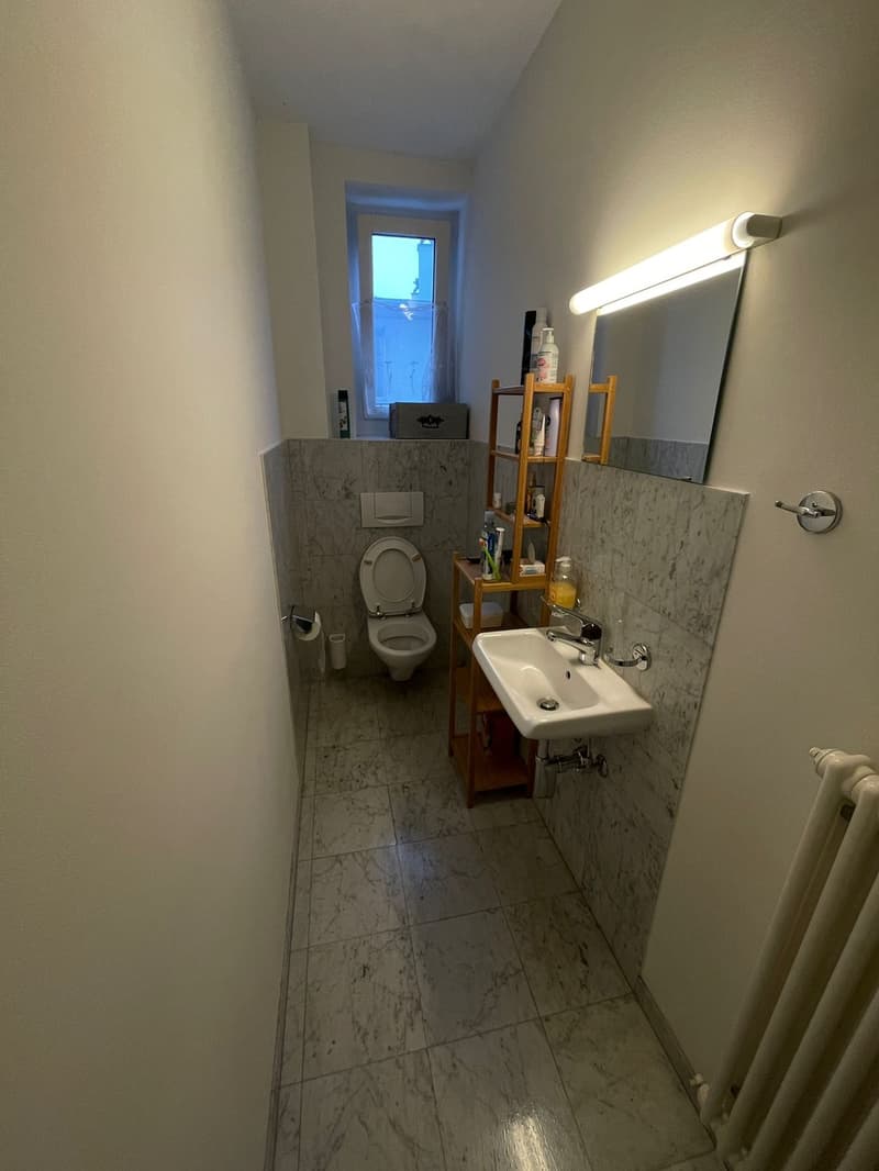 Furnished Room for Sublet in St. Gallen (7)