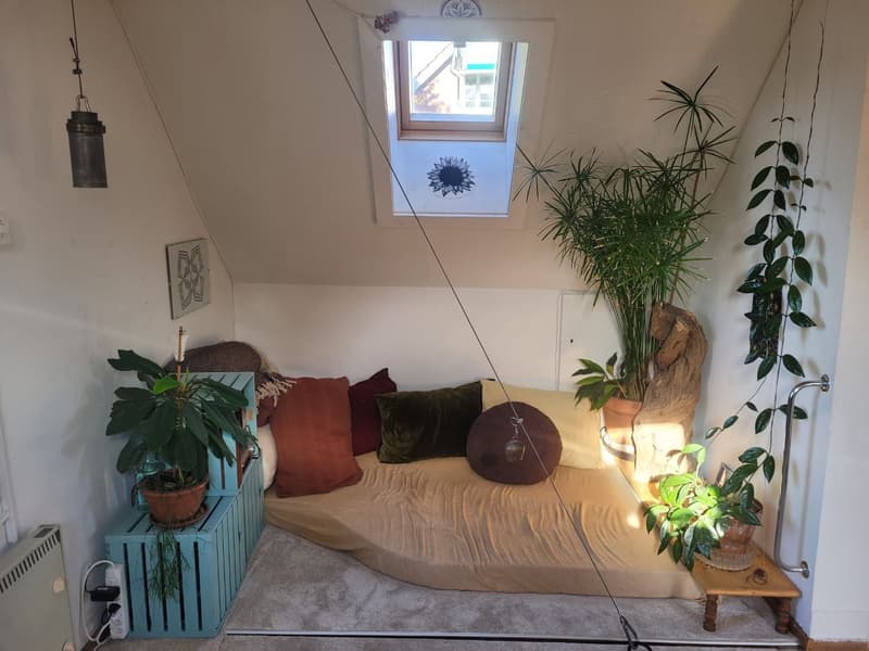 2 ½ Zimmer-Wohnung, 8820 wädenswil (2)