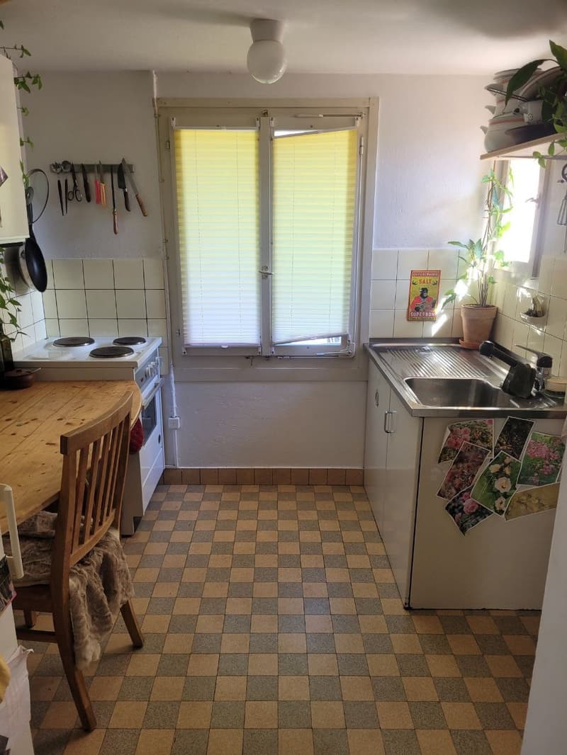 2 ½ Zimmer-Wohnung, 8820 wädenswil (3)
