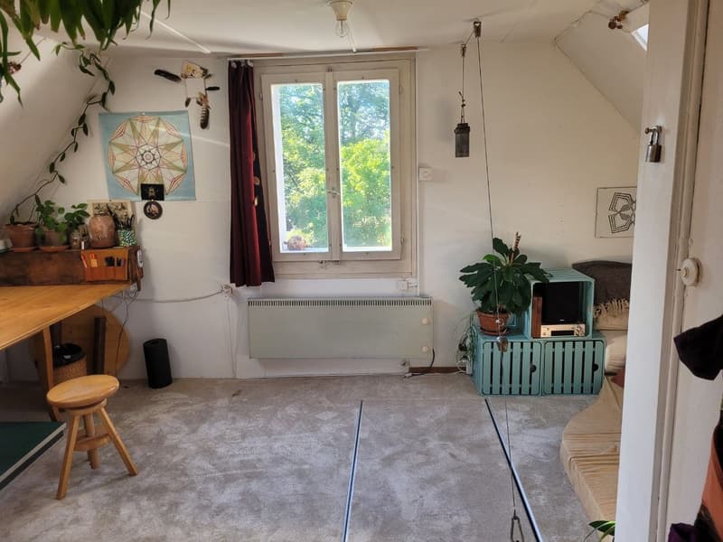 2 ½ Zimmer-Wohnung, 8820 wädenswil (6)