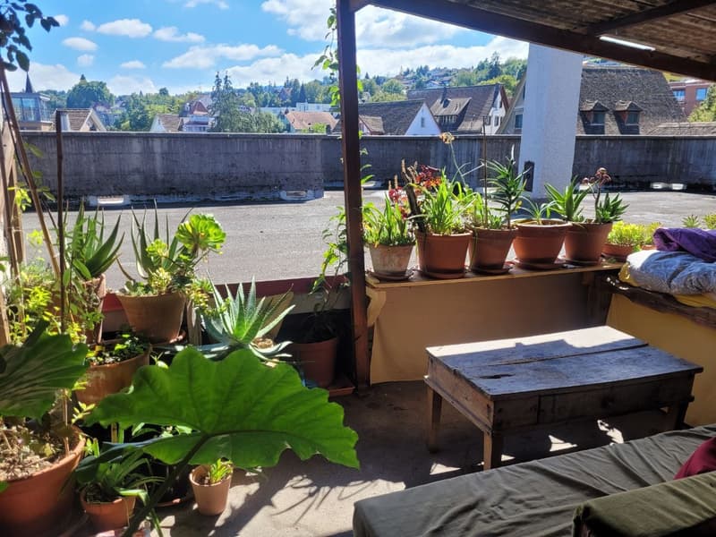 2 ½ Zimmer-Wohnung, 8820 wädenswil (4)