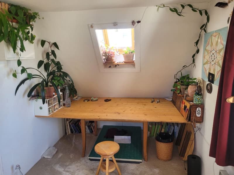 2 ½ Zimmer-Wohnung, 8820 wädenswil (1)