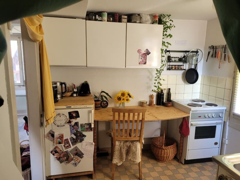 2 ½ Zimmer-Wohnung, 8820 wädenswil (5)