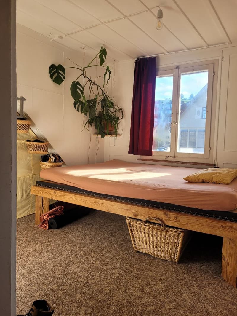 2 ½ Zimmer-Wohnung, 8820 wädenswil (8)