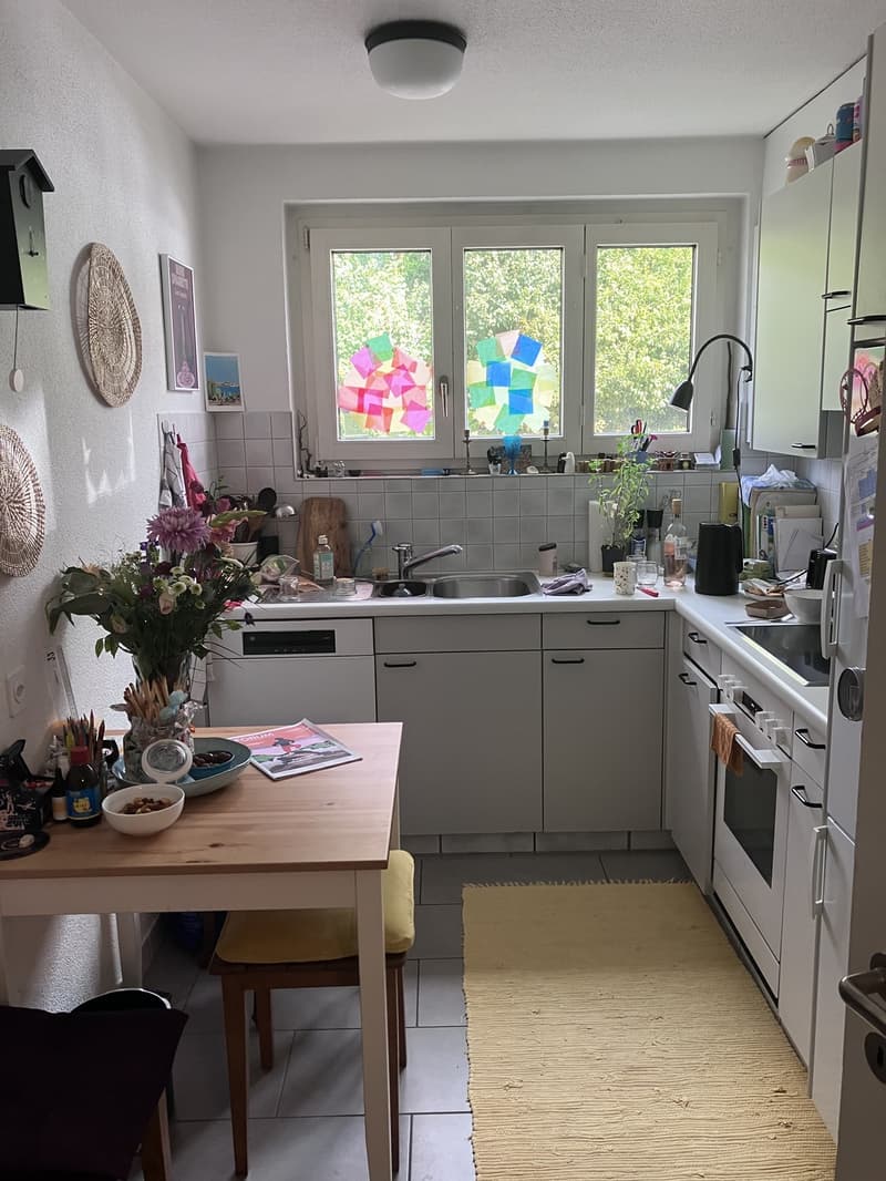 Charmante Altbauwohnung in Höngg befristet zur Untermiete (4)