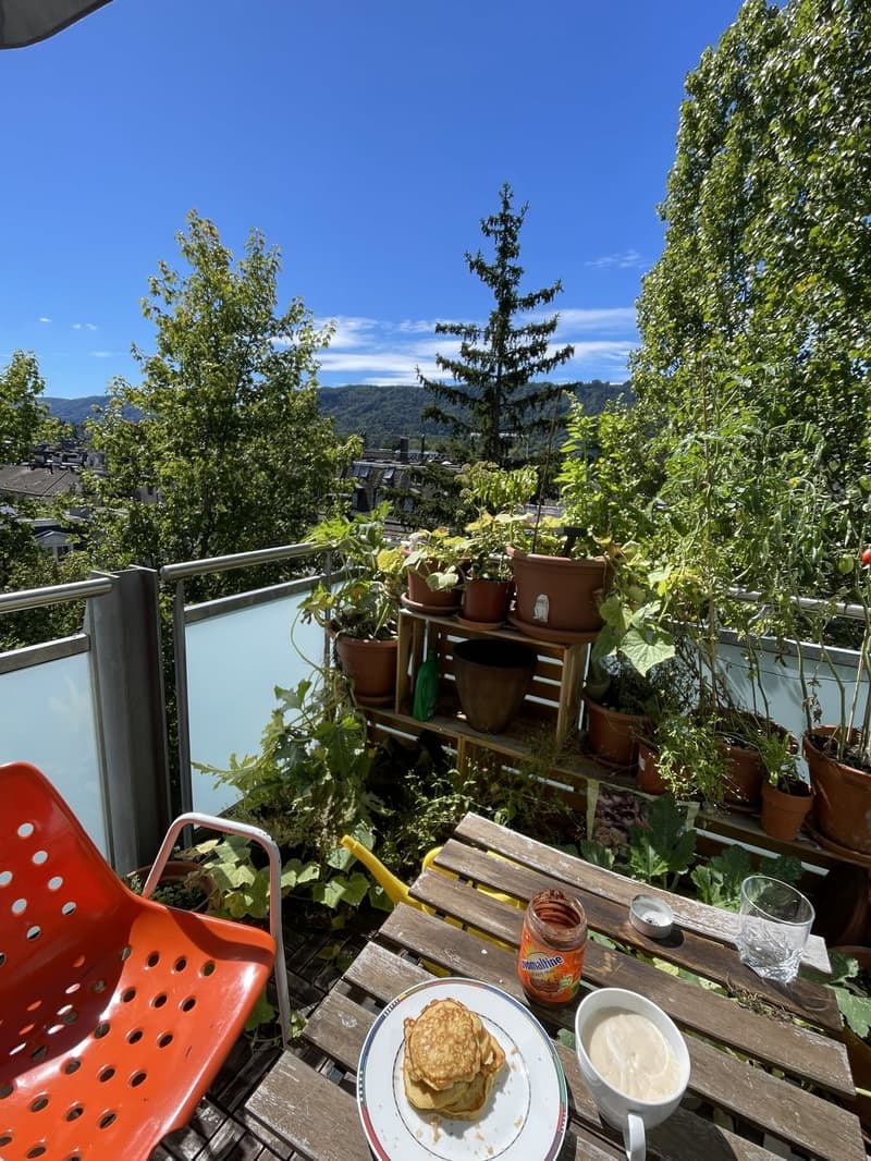 Helle, zentrale Wohnung mit grossem Balkon (2)