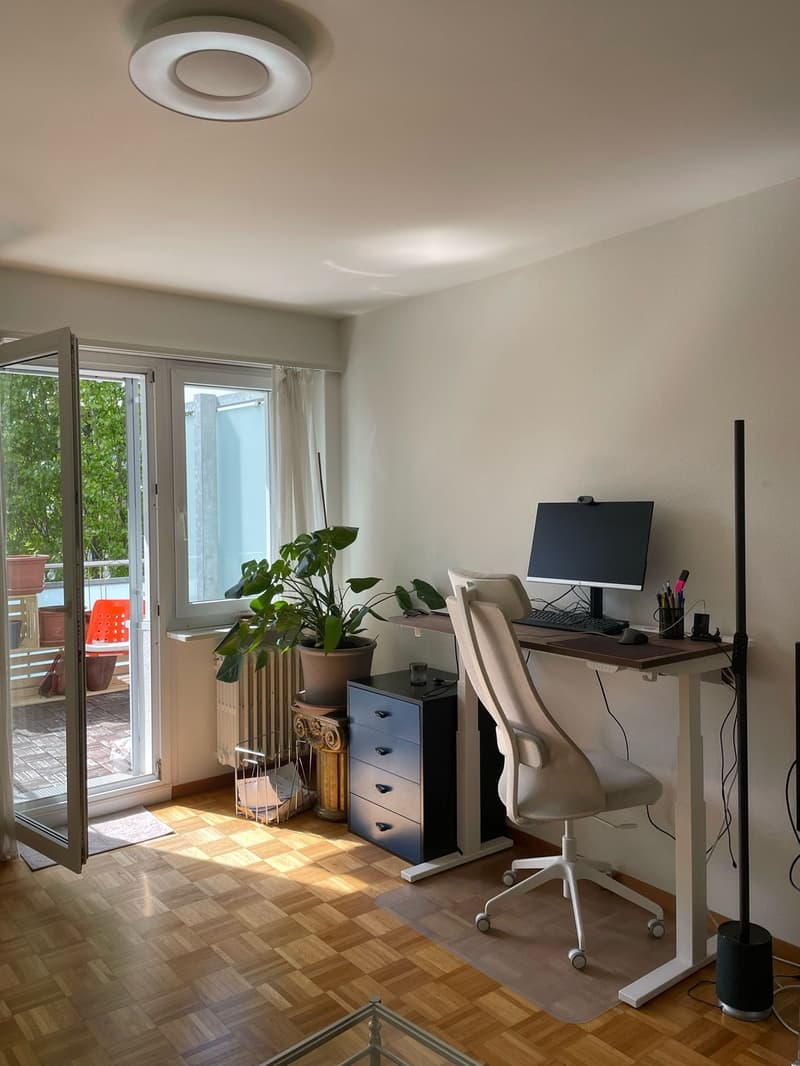 Helle, zentrale Wohnung mit grossem Balkon (3)