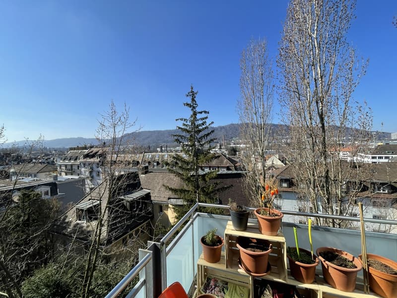 Helle, zentrale Wohnung mit grossem Balkon (6)