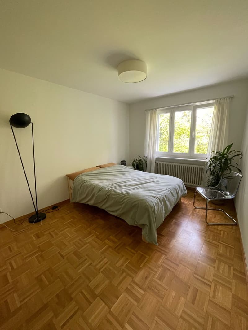Helle, zentrale Wohnung mit grossem Balkon (4)
