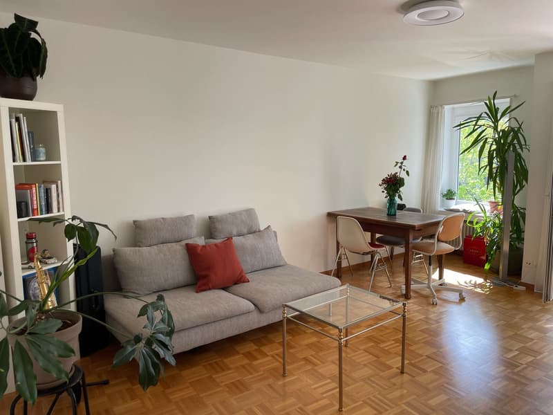 Helle, zentrale Wohnung mit grossem Balkon (1)