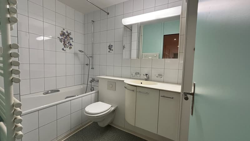 Lovely furnished apartment in student flat, central sunny quiet (Schwalbenstr. 8) (9)