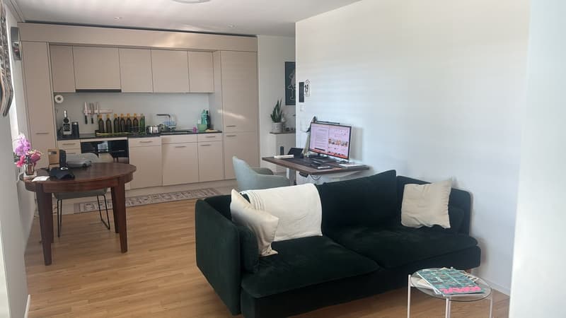 Fully Furnished Living 2.5-Zimmer-Neubau mit Balkon nahe Stettbach. (1)