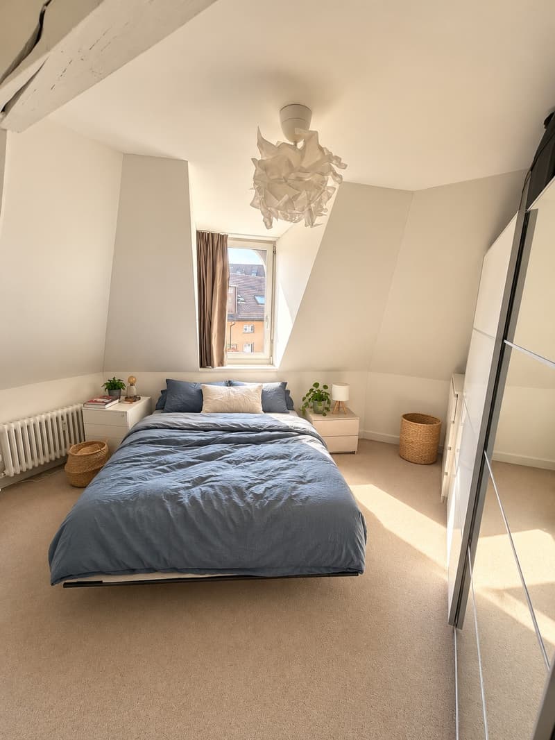 Furnished Penthouse w/ 360 Rooftop in Wiedikon, until April 2027 (11)