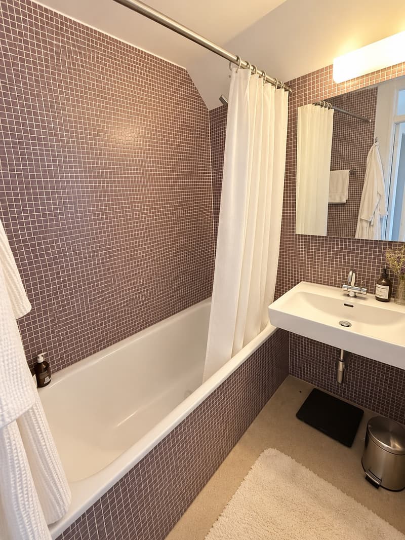 Furnished Penthouse w/ 360 Rooftop in Wiedikon, until April 2027 (6)