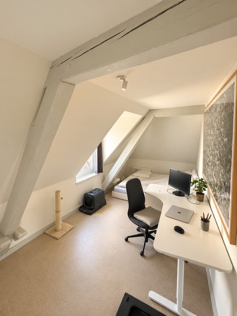 Furnished Penthouse w/ 360 Rooftop in Wiedikon, until April 2027 (9)