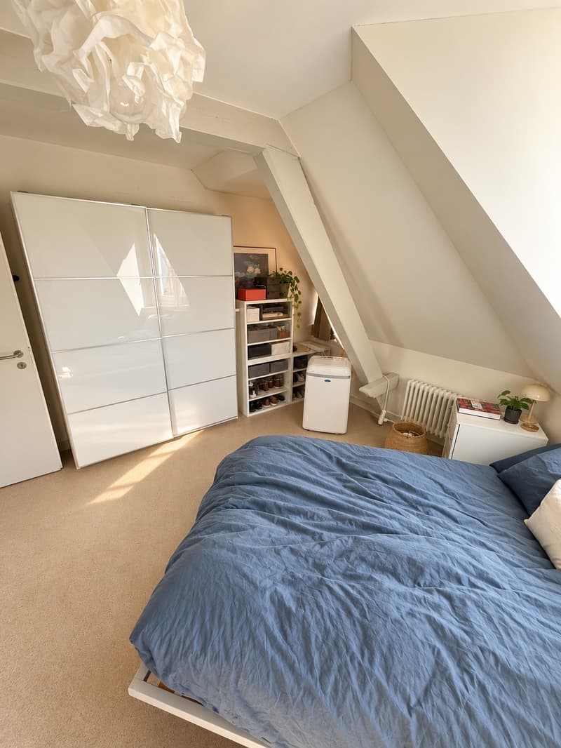 Furnished Penthouse w/ 360 Rooftop in Wiedikon, until April 2027 (12)