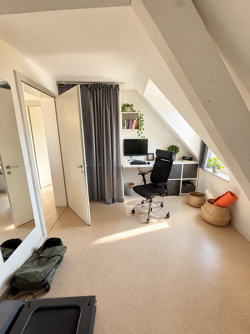 Furnished Penthouse w/ 360 Rooftop in Wiedikon, until April 2027 (10)