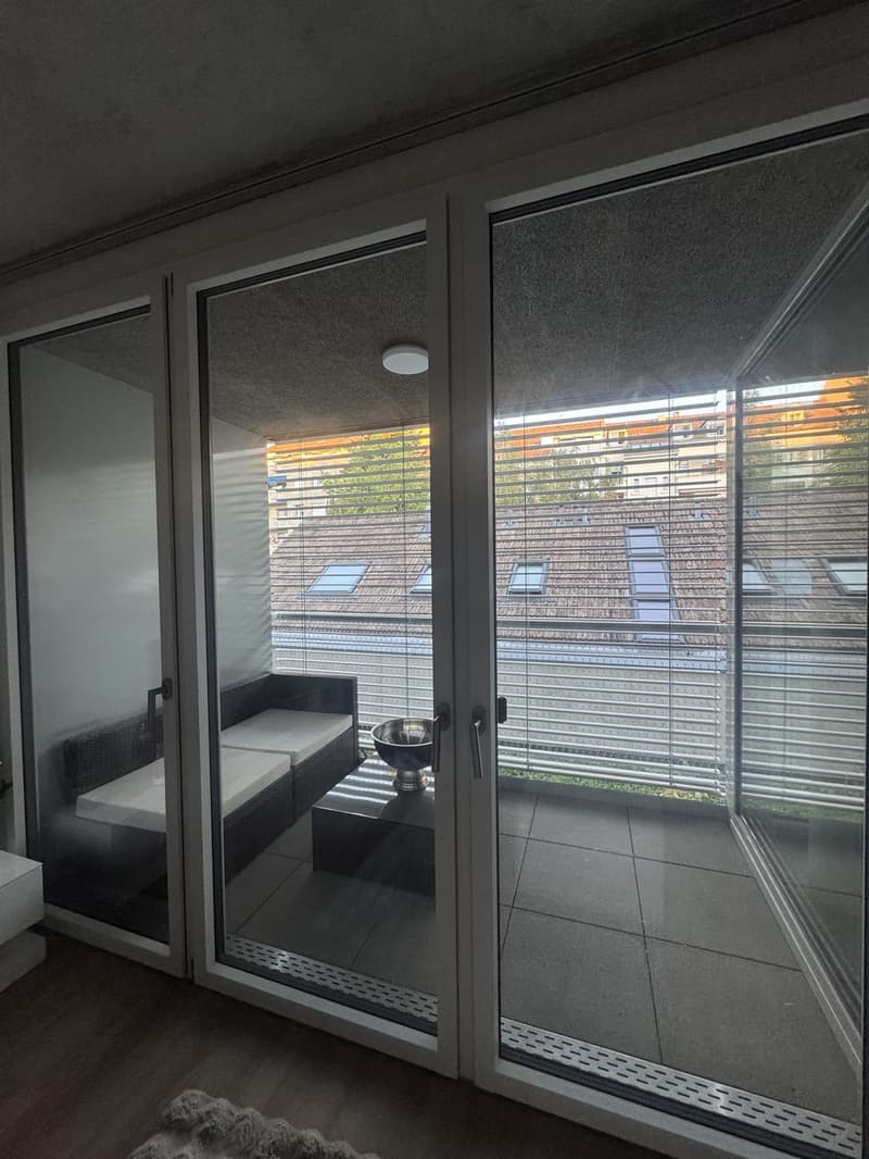 Wunderschöne Wohnung in Basel zu vermieten ab dem 15.01.27 oder früher (2)