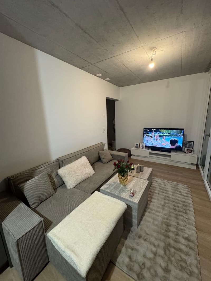 Wunderschöne Wohnung in Basel zu vermieten ab dem 15.01.27 oder früher (4)