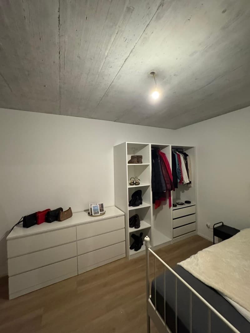 Wunderschöne Wohnung in Basel zu vermieten ab dem 15.01.27 oder früher (7)