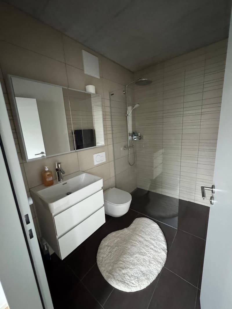 Wunderschöne Wohnung in Basel zu vermieten ab dem 15.01.27 oder früher (3)