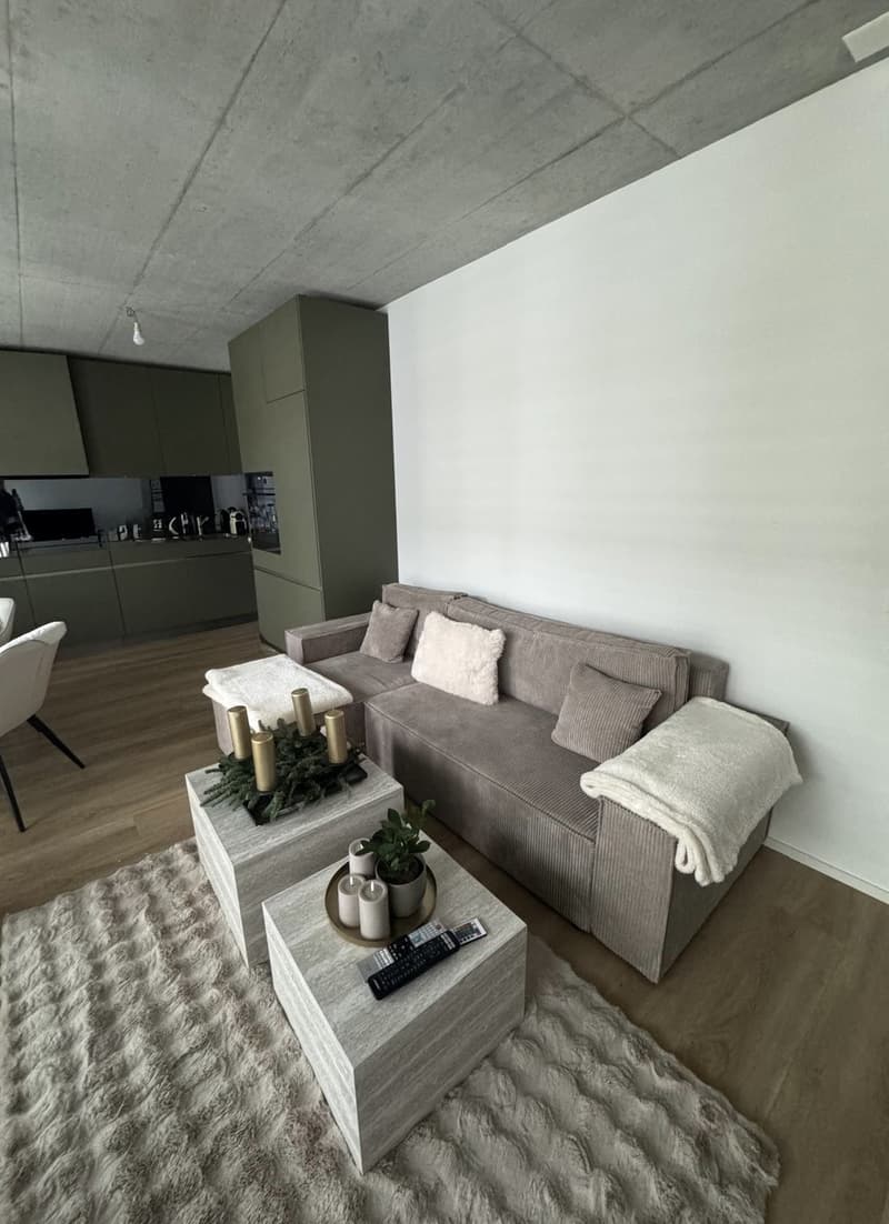 Wunderschöne Wohnung in Basel zu vermieten ab dem 15.01.27 oder früher (5)