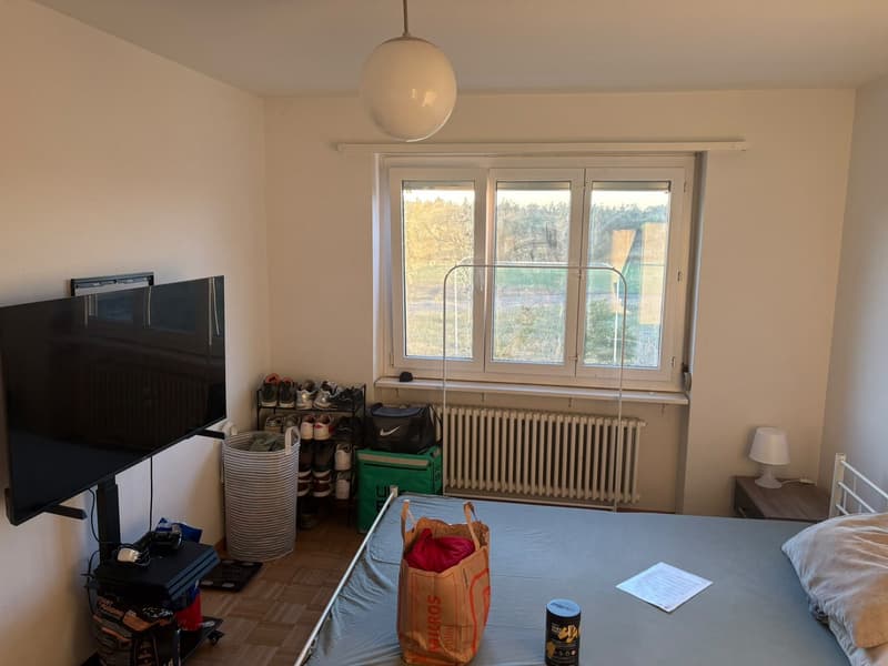 Rent a room (3)