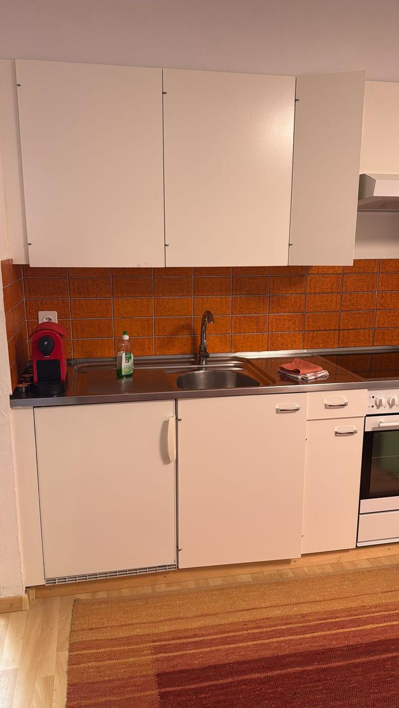 Nachmieter gesucht ab 1. Dezember 2026 1-Zimmer-Wohnung in 8757 Filzbach (8)
