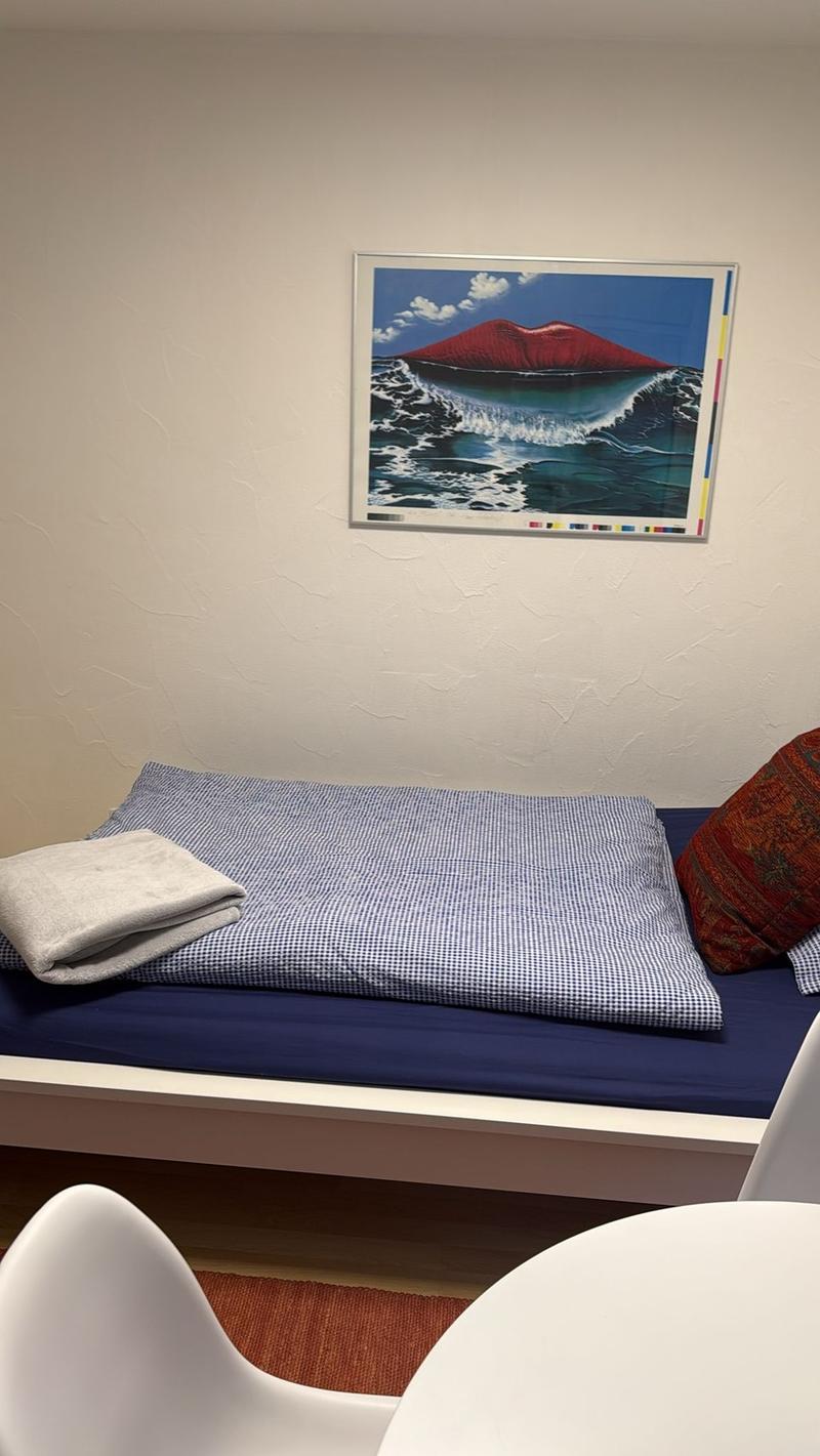 Nachmieter gesucht ab 1. Dezember 2026 1-Zimmer-Wohnung in 8757 Filzbach (2)
