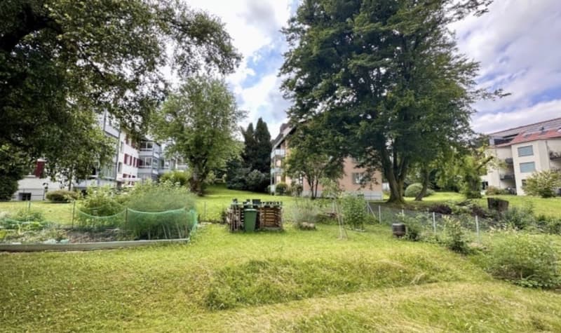 Apartment in triemli (3)