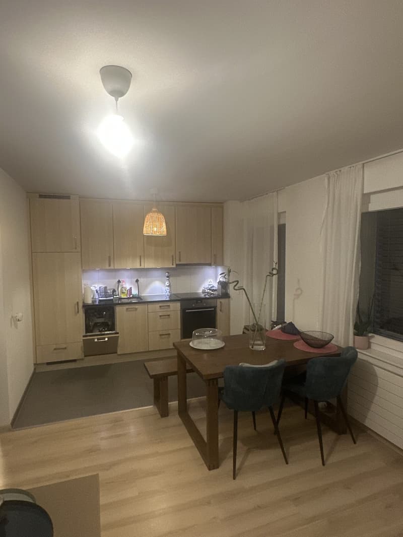 Apartment in triemli (5)