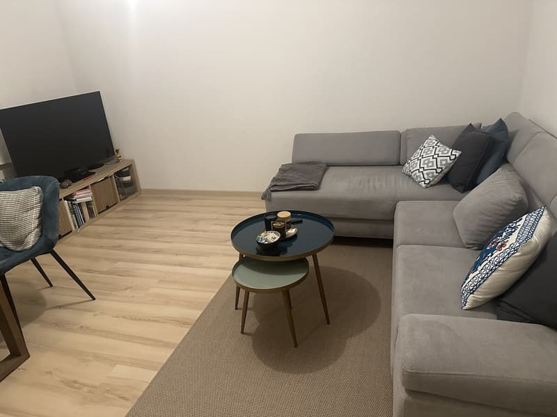 Apartment in triemli (1)