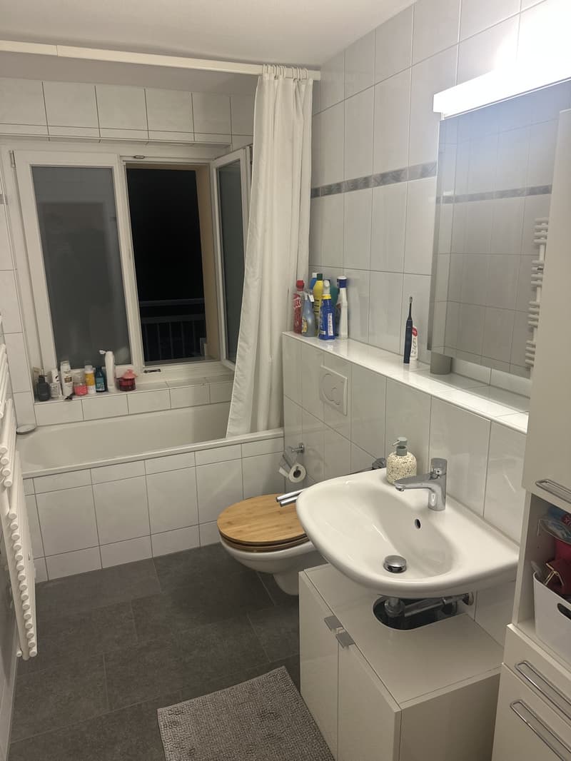 Apartment in triemli (6)