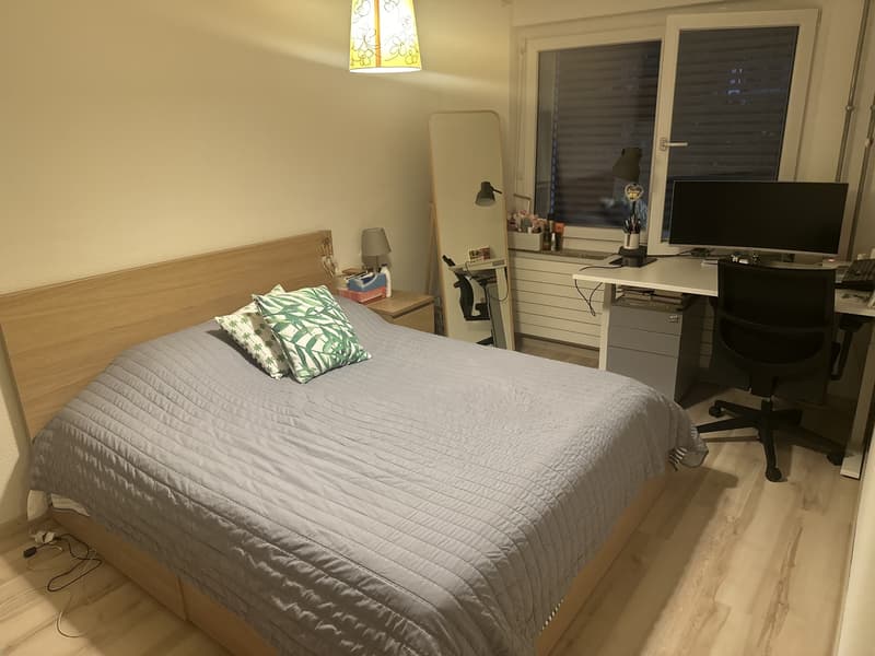 Apartment in triemli (7)