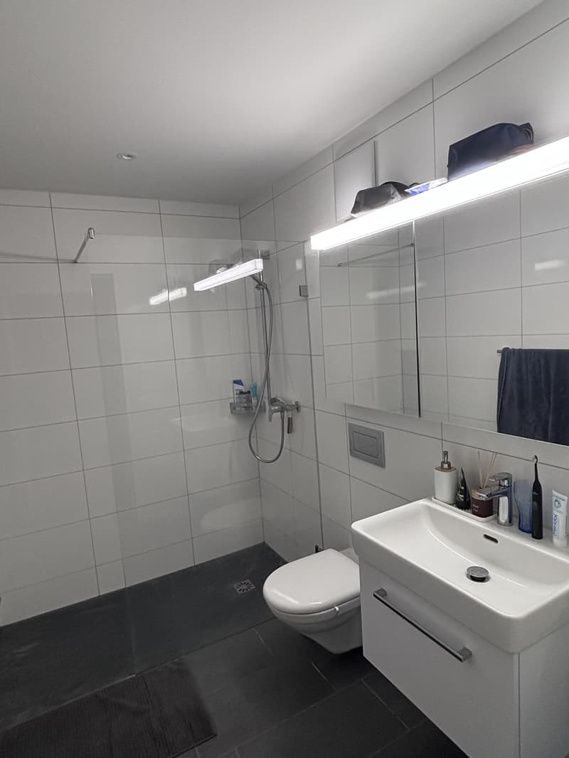Nachmieter/in gesucht für schöne Wohnung an der Bertastrasse 82 in Zürich (2)