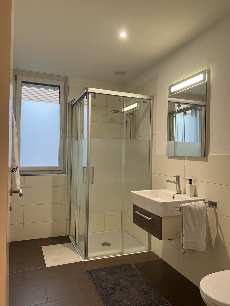 Grosszügige, helle 4.5-Zimmer-Wohnung mit grossem Balkon (4)