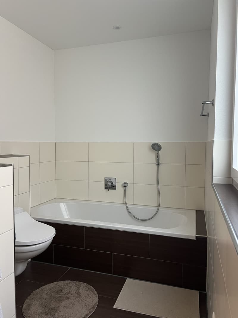 Grosszügige, helle 4.5-Zimmer-Wohnung mit grossem Balkon (10)