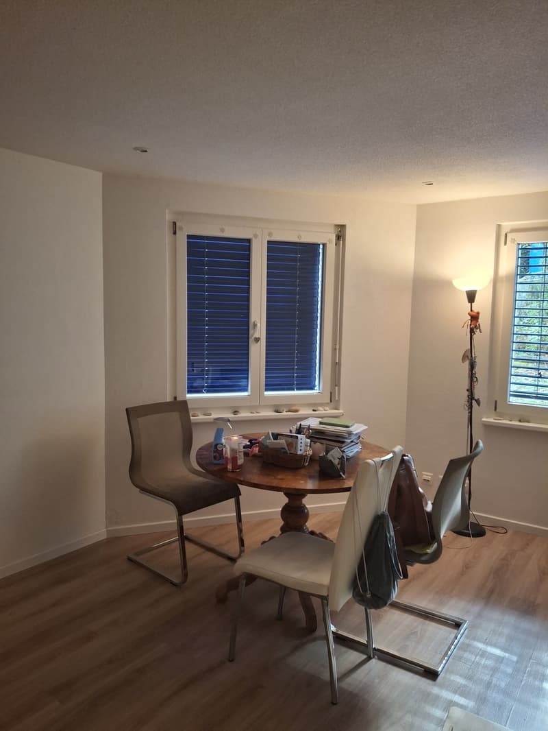 Sublet 3 month (8)