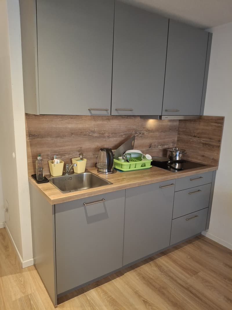 Sublet 3 month (9)
