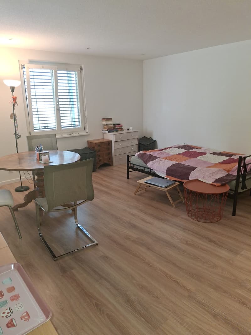 Sublet 3 month (2)