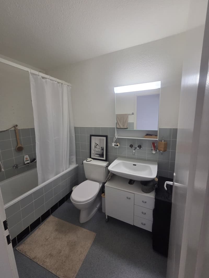 Wunderschöne 2i Zimmer Wohnung im Maihof (4)