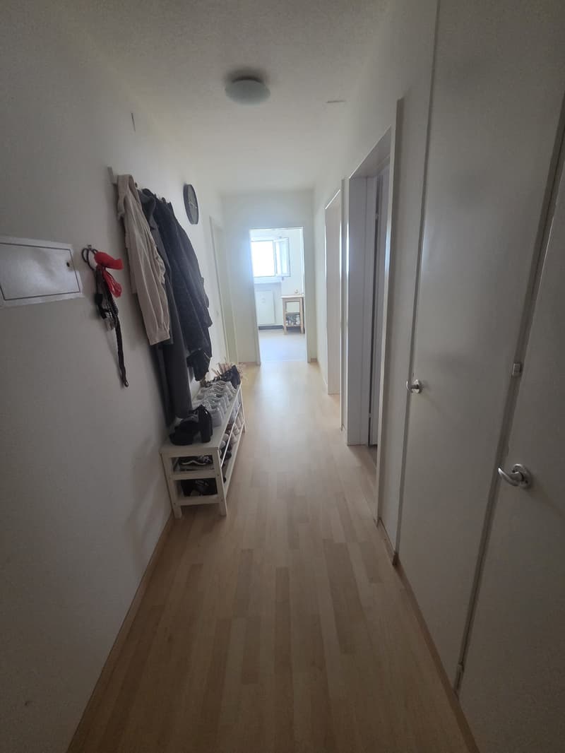 Wunderschöne 2i Zimmer Wohnung im Maihof (8)
