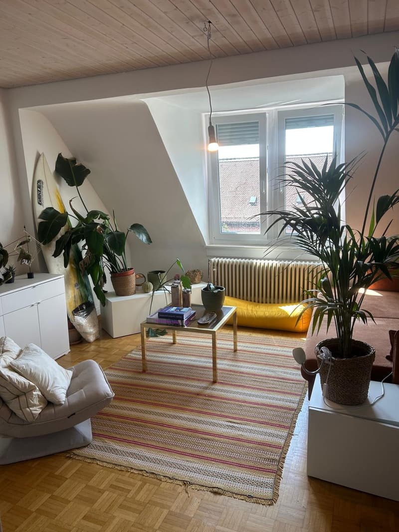 Möblierte Dachwohnung Kreis 5 / Furnished attic flat - 12.10.26 bis 15.01.27 (1)