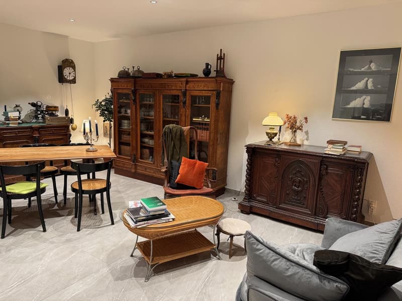 Ferienwohnung für den Winter in Locarno (4)