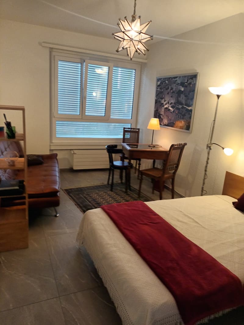 Ferienwohnung für den Winter in Locarno (6)