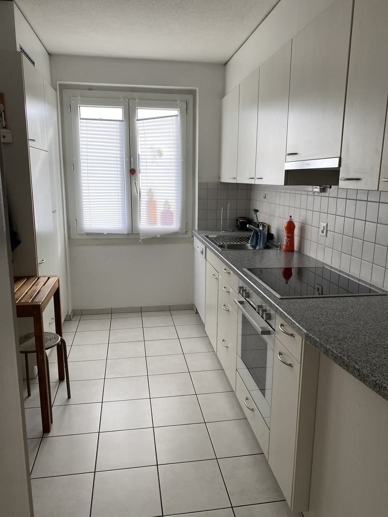 Neue Mitbewohnerin gesucht (9)