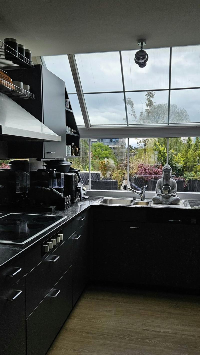 Room in a Penthouse Apartment near Stettbach (Zurich area) (4)