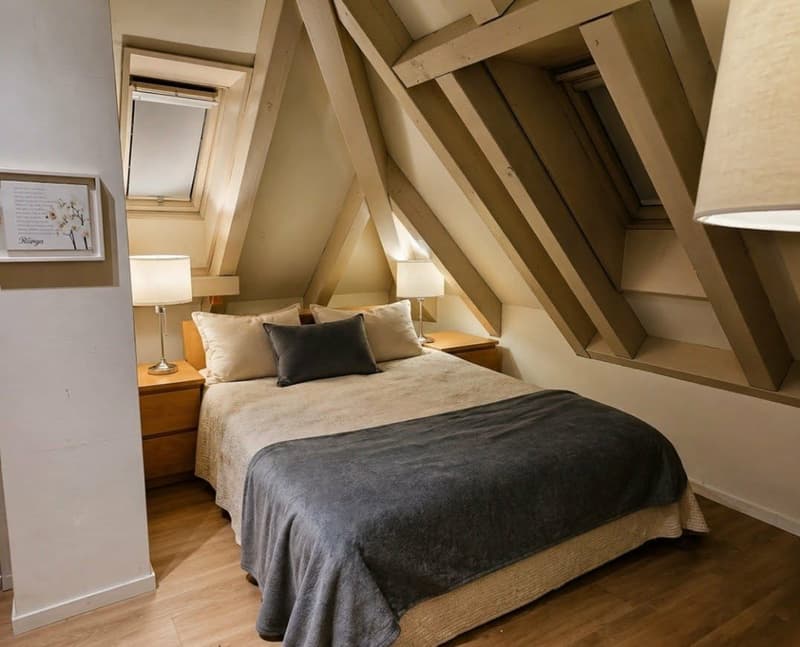Room in a Penthouse Apartment near Stettbach (Zurich area) (2)
