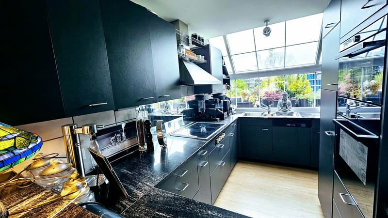 Room in a Penthouse Apartment near Stettbach (Zurich area) (5)